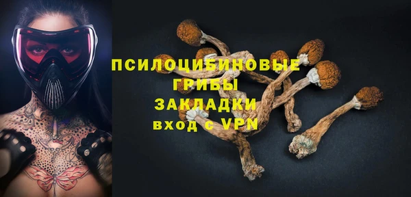 прущие крисы Армянск