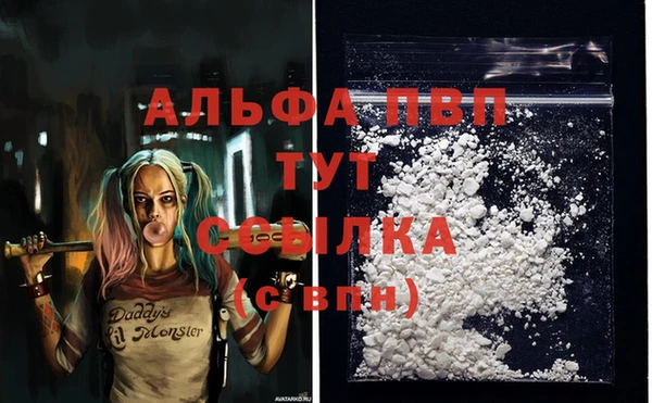 прущие крисы Армянск