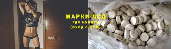 мяу мяу мука Аркадак