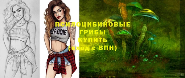 мяу мяу мука Аркадак