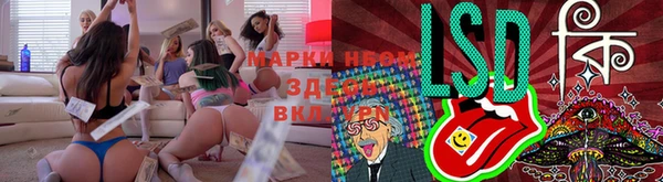 мяу мяу мука Аркадак