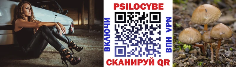 где купить наркотик  Руза  Псилоцибиновые грибы MAGIC MUSHROOMS 